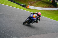 anglesey;brands-hatch;cadwell-park;croft;donington-park;enduro-digital-images;event-digital-images;eventdigitalimages;mallory;no-limits;oulton-park;peter-wileman-photography;racing-digital-images;silverstone;snetterton;trackday-digital-images;trackday-photos;vmcc-banbury-run;welsh-2-day-enduro